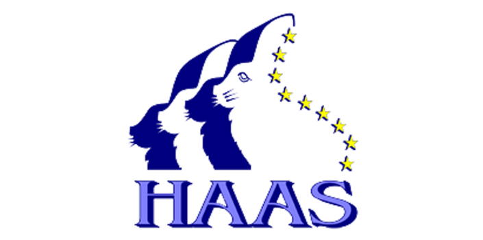 Haas Malerei GmbH